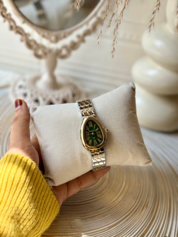 premium watch