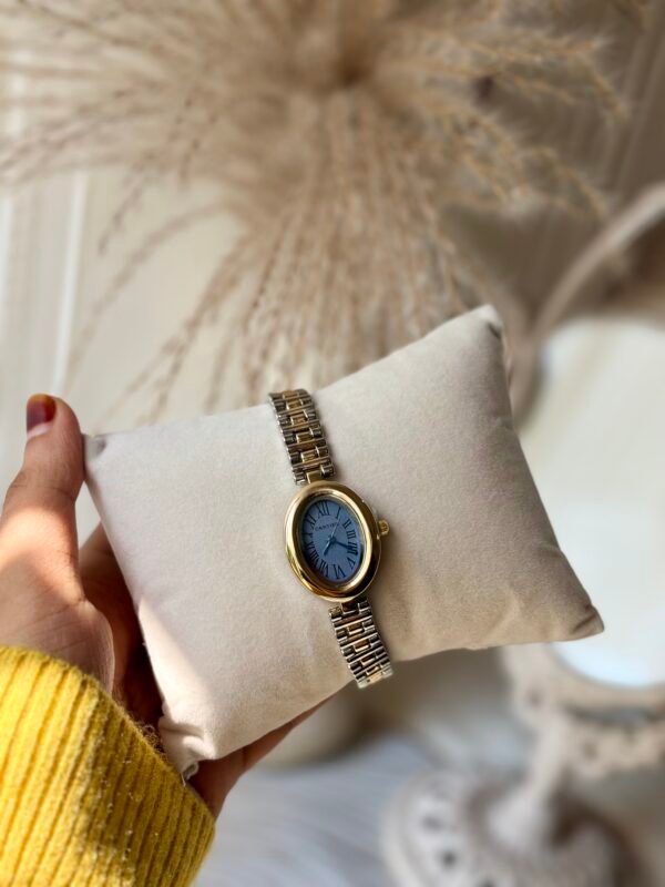 Dual colour pinteresty watch