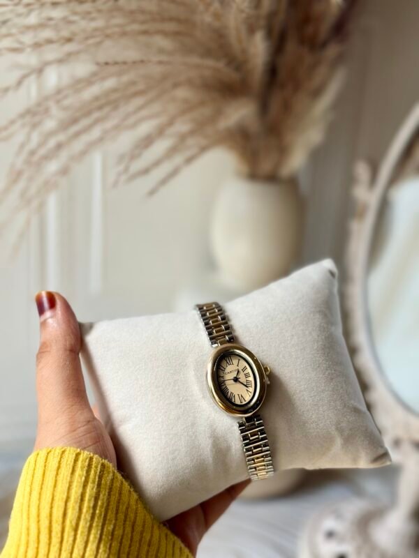 Dual colour vintage premium watch